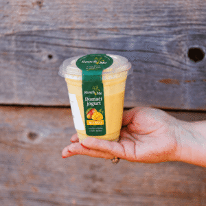 Domaći jogurt s mangom Ranch4Me